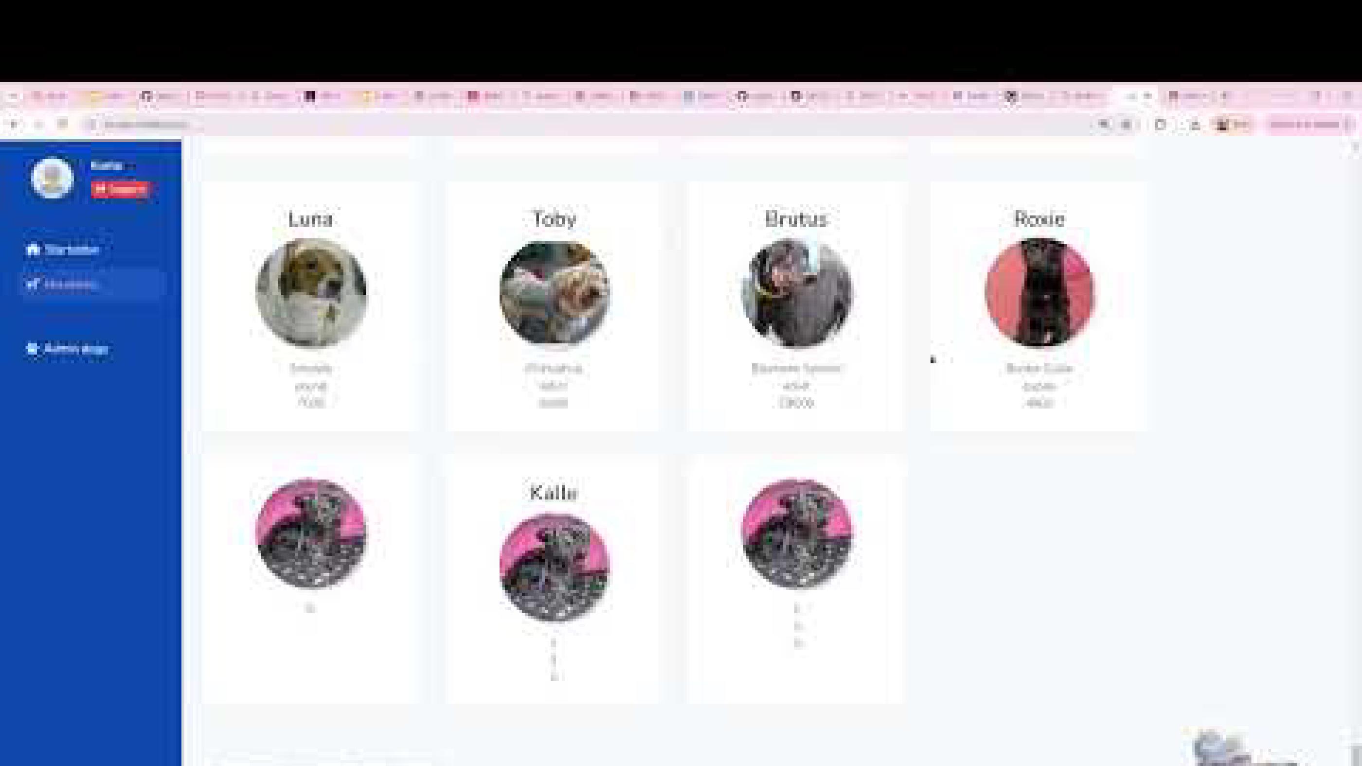 HTML Javascript Client Injection